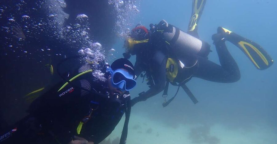 Lisbon: Try Dive in Arrábida Marine Reserve Setubal Sesimbra - Exploring reefs, coral gardens, and local wildlife