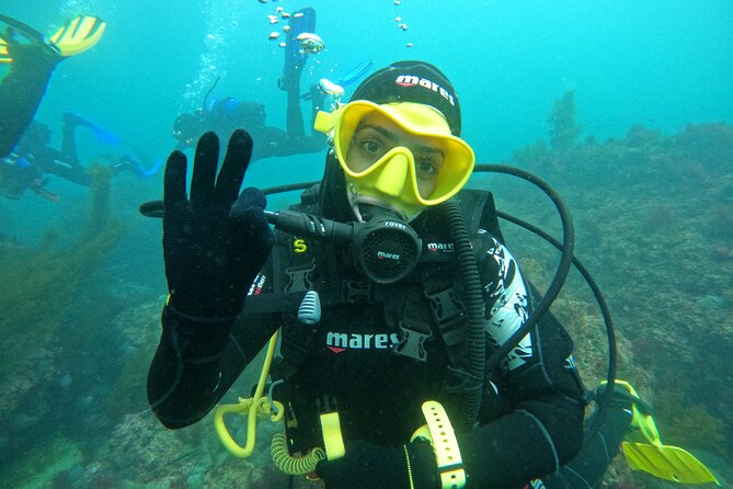 Lisbon: Try Scuba Diving in Arrabida Marine Reserve with photos - Learning the basics before entering the water