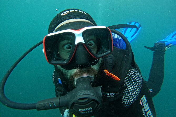 Lisbon: Try Scuba Diving in Arrabida Marine Reserve with photos - Who will get the most from this experience