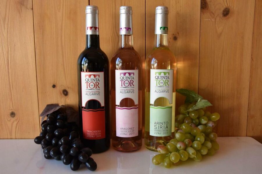 Loulé: Quinta da Tôr Winery Guided Tour and Wine Tasting - Key points at a glance