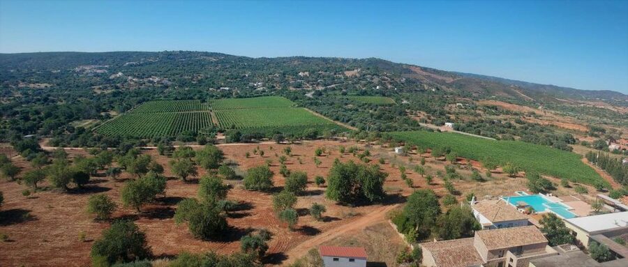 Loulé: Quinta da Tôr Winery Guided Tour and Wine Tasting - Who should book this winery experience?
