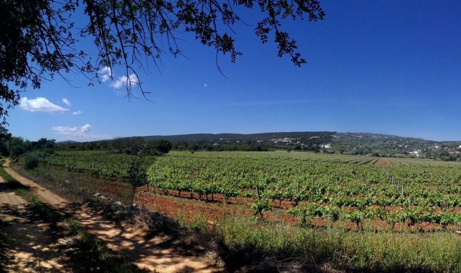 Loulé: Quinta da Tôr Winery Guided Tour and Wine Tasting - Arriving at Quinta da Tôr near Loulé