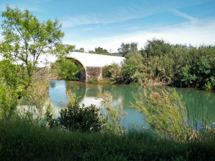 Loulé: Quinta da Tôr Winery Guided Tour and Wine Tasting - The 90-minute tasting: four wines and local pairings