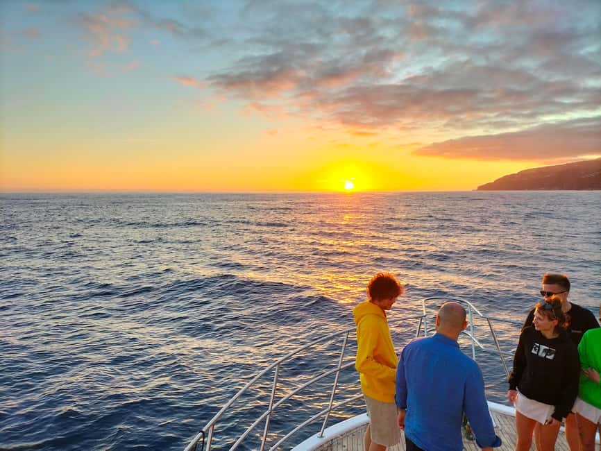 Madeeira: Sunset dinner cruise - Wildlife sightings are a welcome bonus