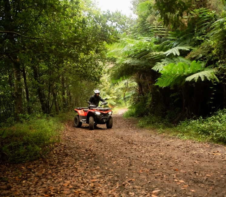 Madeira: Aventura Off-Road de ATV ou Quad - Adrenalina - Starting at Bar O Caniçal