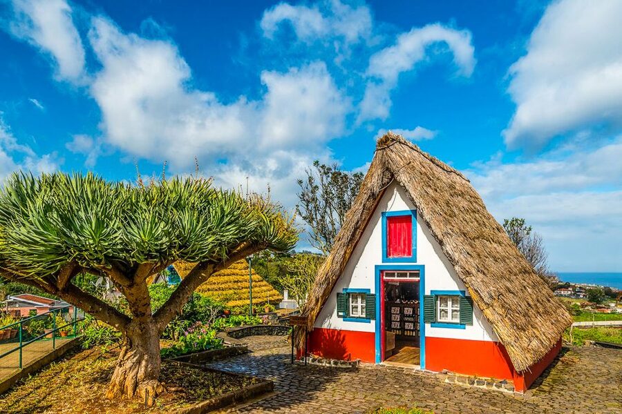 Madeira: Best of the East Tour from Funchal - Why this east tour works so well from Funchal