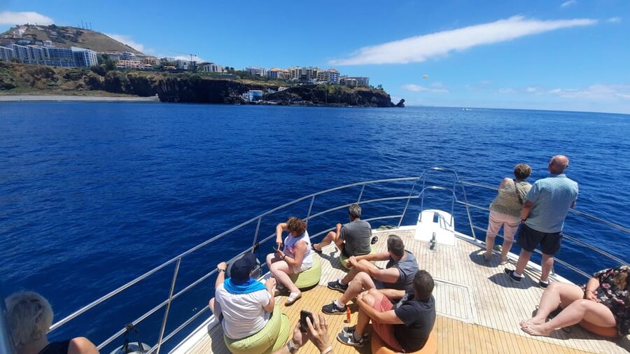Madeira: Boat Trip with Lunch, Drinks, and Hotel Transfer - The swimming and snorkeling stop