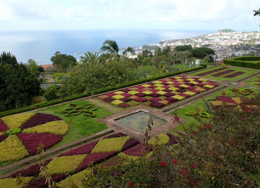Madeira: Botanical Garden in a Tuk-Tuk Tour - Rolling back through Funchal’s older center