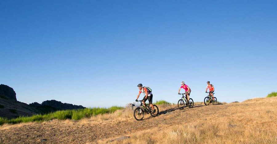 Madeira Botanical Levels Bike Tour – Scenic Trail Experience - From Poiso at 1,400 meters, Madeira starts with a cool change