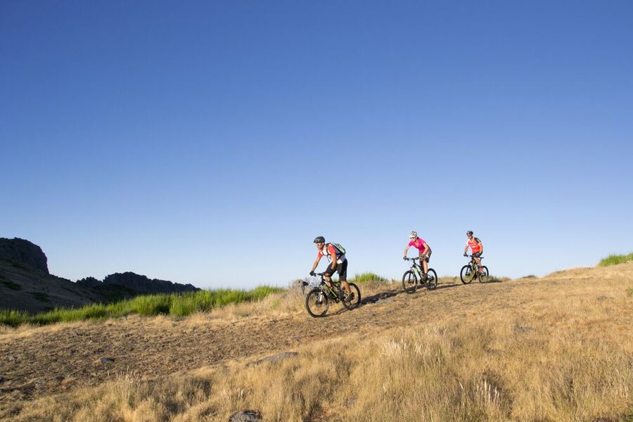Madeira Botanical Levels Bike Tour – Scenic Trail Experience - The levada section trades thrills for Madeira’s quieter side