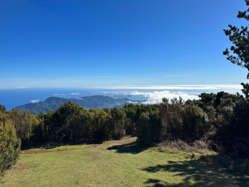 Madeira Botanical Levels Bike Tour – Scenic Trail Experience - Who should book this ride?