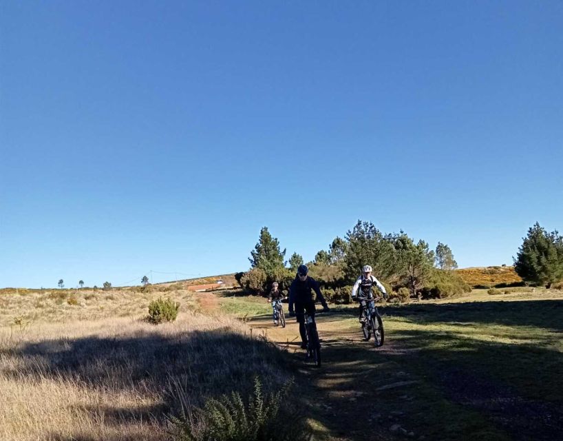 Madeira Botanical Levels Bike Tour – Scenic Trail Experience - Practical details that improve the day