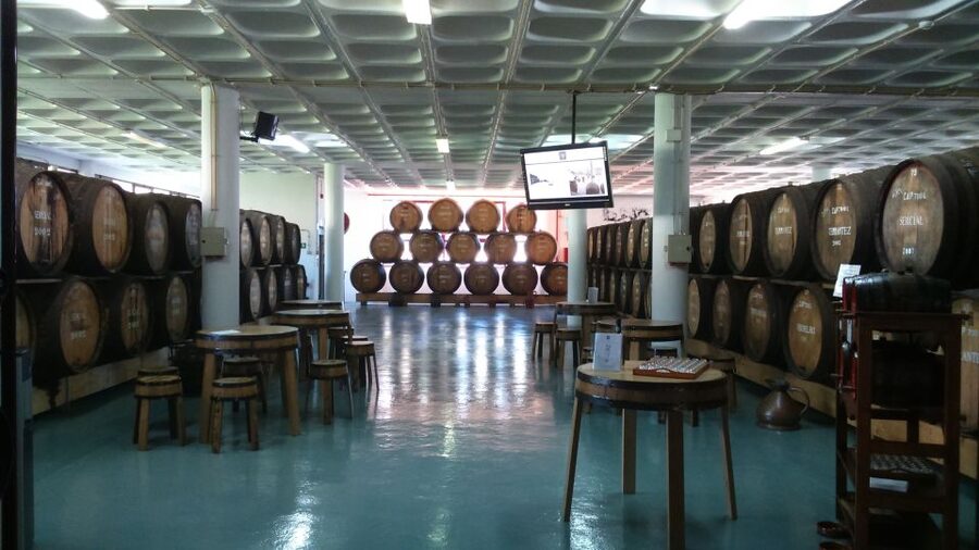 Madeira: Cabo Girao, Jeep Tour Adventure and Wine Tasting - Madeira wine from sweet to dry