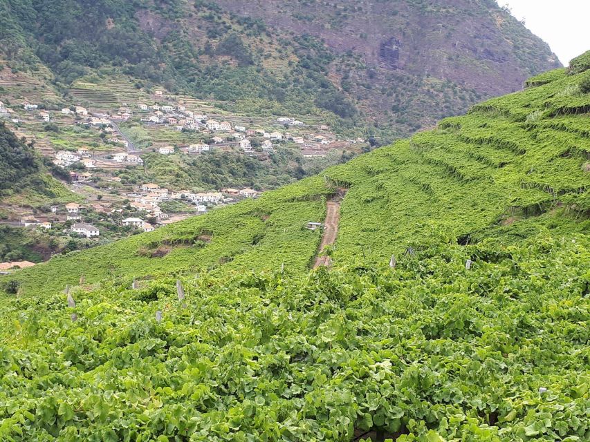Madeira: Cabo Girão, Wine Tasting, & Serra d'Água Jeep Tour - Key points at a glance