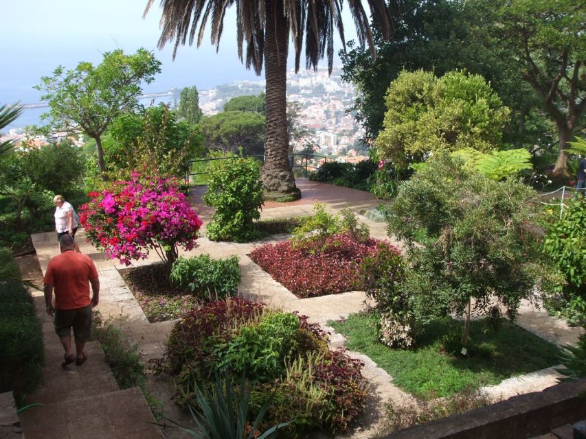 Madeira: Customized 3, 4 or 6-Hour Tour - Key points to know before booking