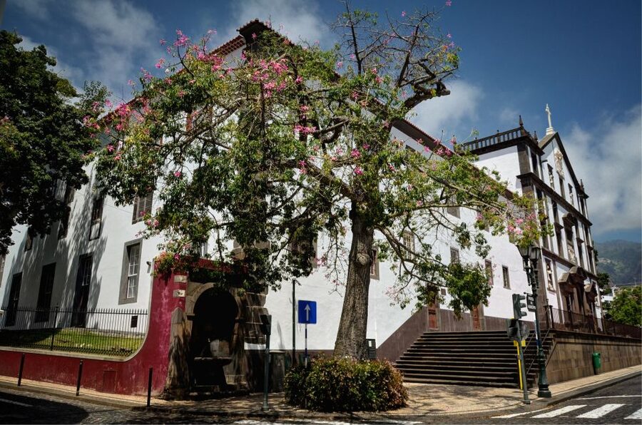 Madeira: Customized 3, 4 or 6-Hour Tour - Fajã dos Padres is an optional special detour