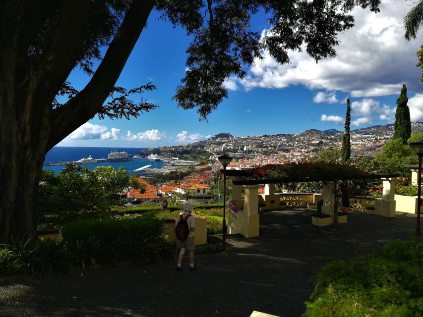 Madeira: Customized 3, 4 or 6-Hour Tour - Paredão viewpoint keeps the schedule flexible