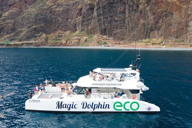 Madeira Dolphin and Whale Watching on a Ecological Catamaran - What the Funchal whale-watching trip is really like