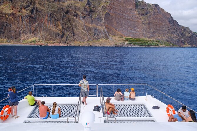 Madeira Dolphin and Whale Watching on a Ecological Catamaran - Dolphins and whales you might see off Madeira