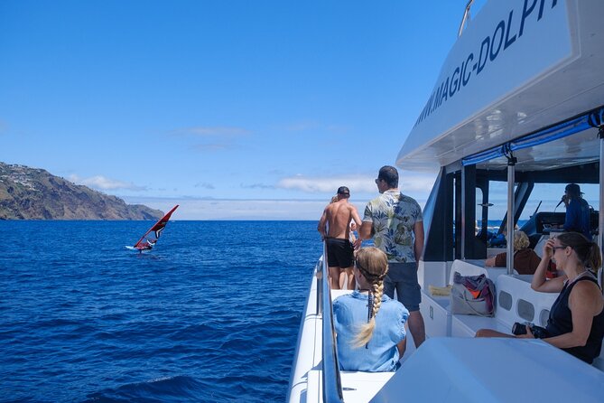 Madeira Dolphin and Whale Watching on a Ecological Catamaran - Why the return to Funchal is more than dead time