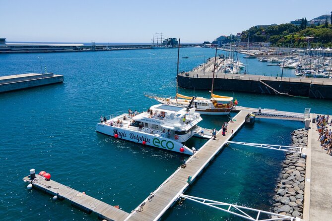 Madeira Dolphin and Whale Watching on a Ecological Catamaran - What to wear and bring for the Atlantic