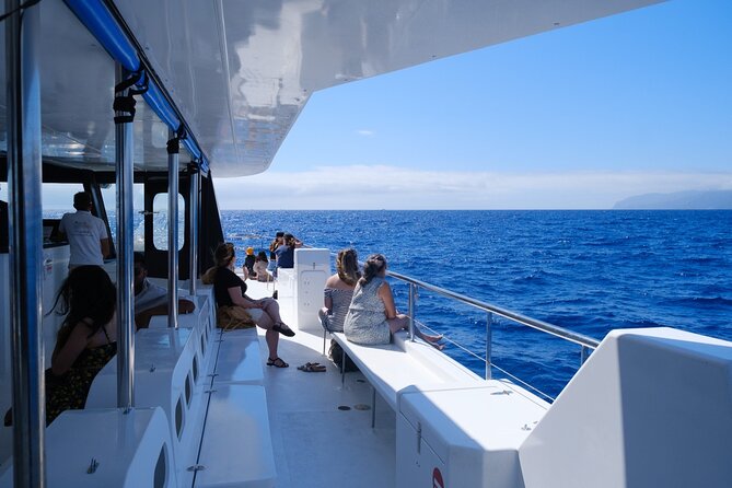 Madeira Dolphin and Whale Watching on a Ecological Catamaran - Is $42.33 good value for three hours?