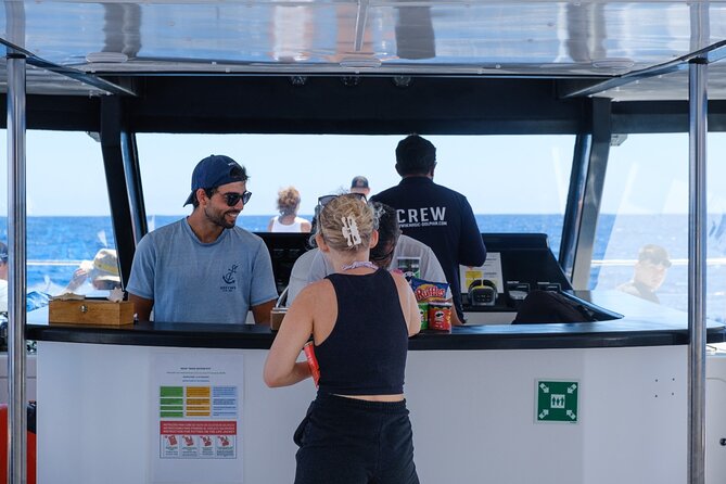 Madeira Dolphin and Whale Watching on a Ecological Catamaran - How the land-based spotters improve your chances
