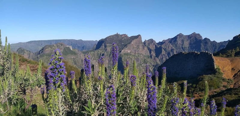 Madeira East Island Tour and Levada Walk - Key points at a glance