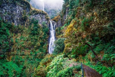 Enjoy a Guided Levada Walk in the Rabaçal Valley