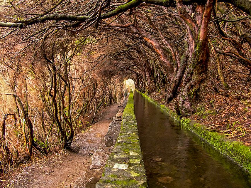 Madeira: Enjoy a Guided Levada Walk in the Rabaçal Valley - Reaching the 25 Fontes lagoon