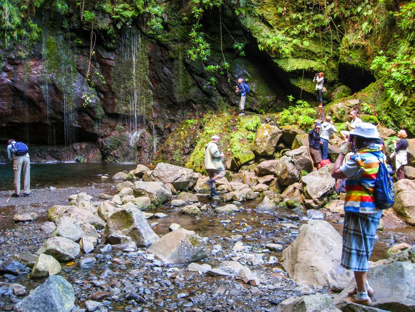 Madeira: Enjoy a Guided Levada Walk in the Rabaçal Valley - Guides, group size, and language
