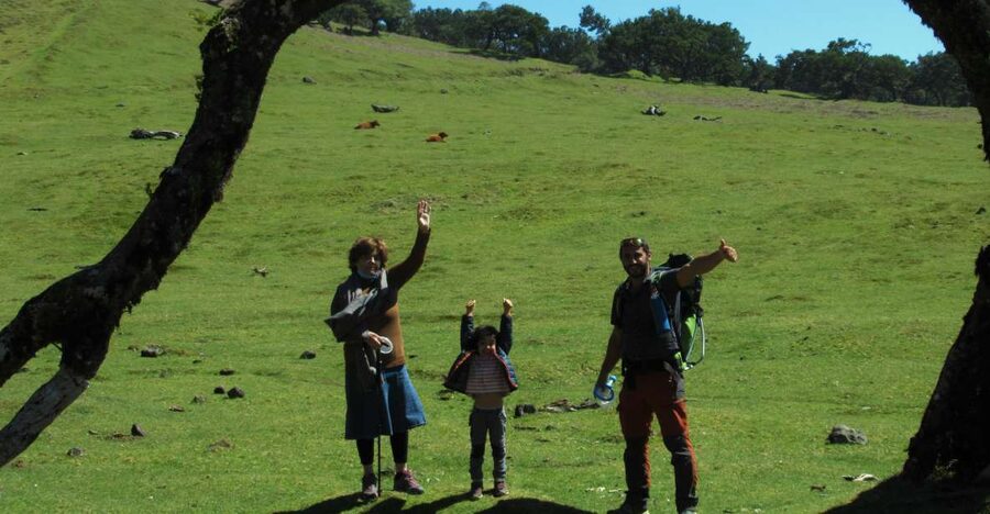 Madeira: Fanal Forest Guided Hiking Tour - Key points to know before you book