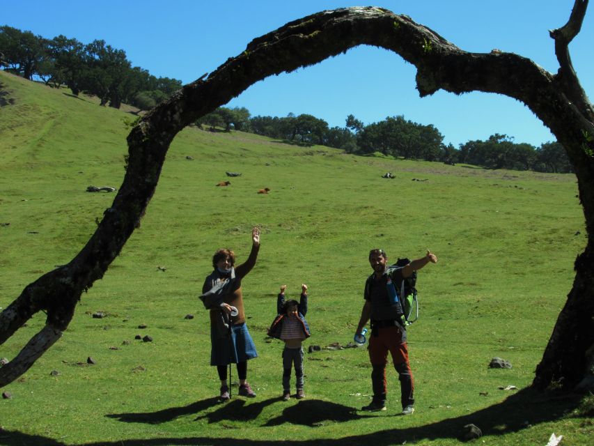 Madeira: Fanal Forest Guided Hiking Tour - The drive from Madeira into the mountains