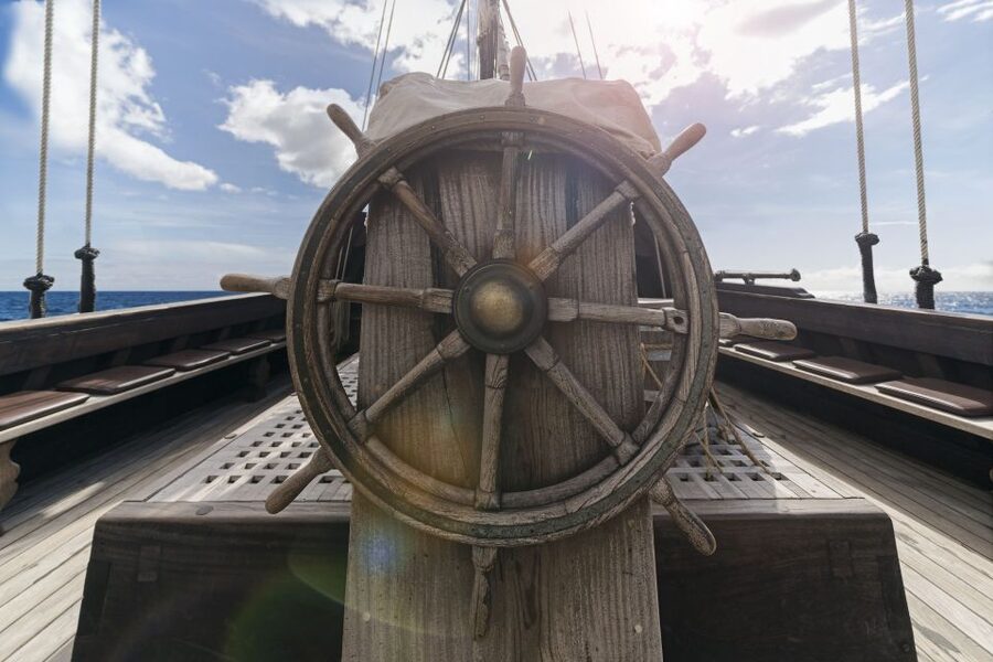Madeira: Flag Ship Tour aboard Santa Maria de Colombo - Wildlife watching in open Atlantic water