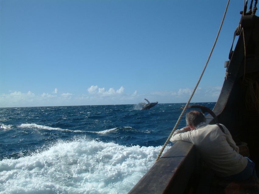 Madeira: Flag Ship Tour aboard Santa Maria de Colombo - Is $53 a fair price?
