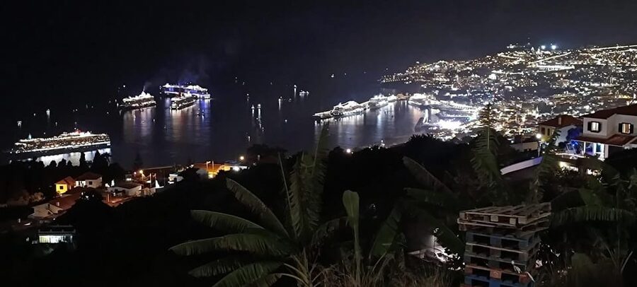 Madeira: Folk Dancing Show and Traditional Local Dinner - Who will enjoy this most?