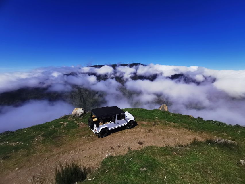 Madeira: Full-Day Jeep Tour, Natural Pools, Seixal & Fanal - Fanal Forest is the quiet heart of the route