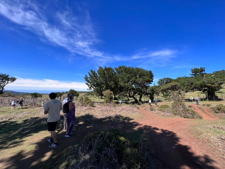 Madeira: Full-Day Jeep Tour with Guide and Pickup - Seixal Beach and the black-sand coast