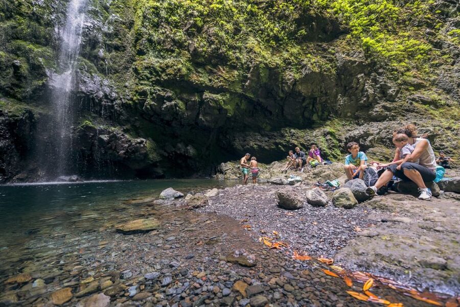 Madeira: Full-Day Laurel Forest Guided Walking Tour - Starting at Queimadas Park and its thatched house