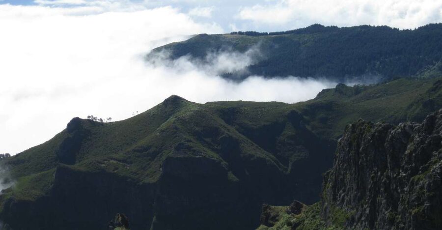 Madeira: Full-Day Pico Ruivo / Achada do Teixeira Walk - From Picarouto into Madeira’s high country