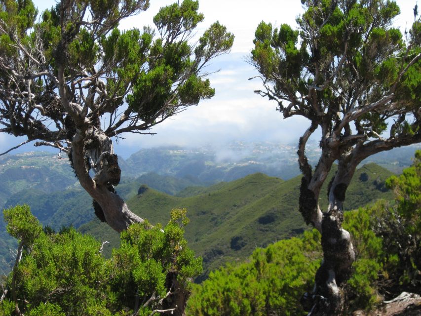 Madeira: Full-Day Pico Ruivo / Achada do Teixeira Walk - Guide languages and the human side of the tour