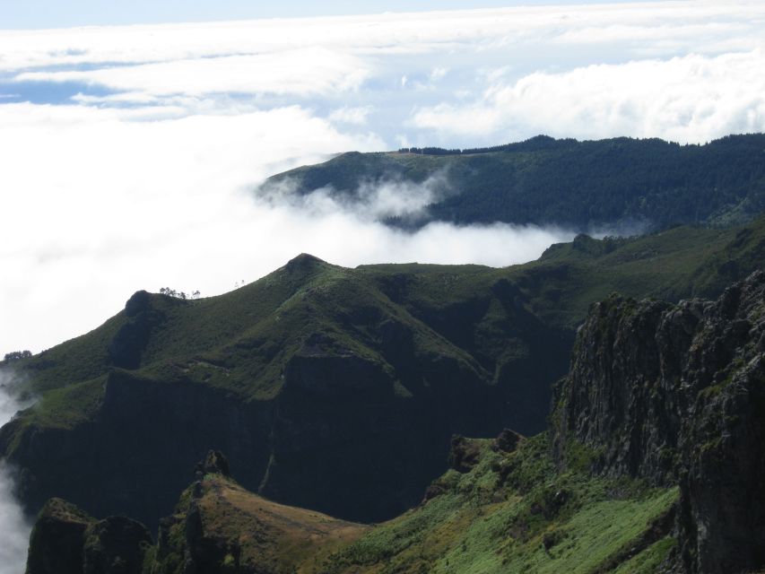 Madeira: Full-Day Pico Ruivo / Achada do Teixeira Walk - Ancient heather forest and fragile mountain plants