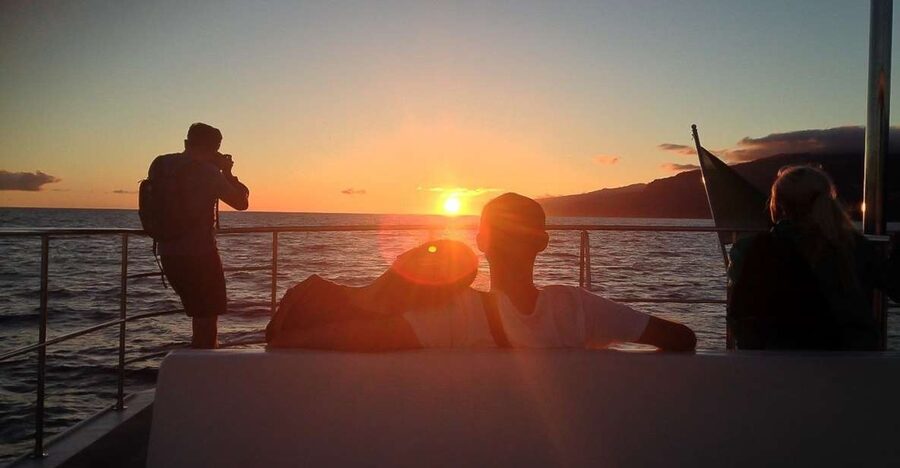 Madeira: Funchal Sunset Tour by Catamaran - Why this sunset cruise works so well
