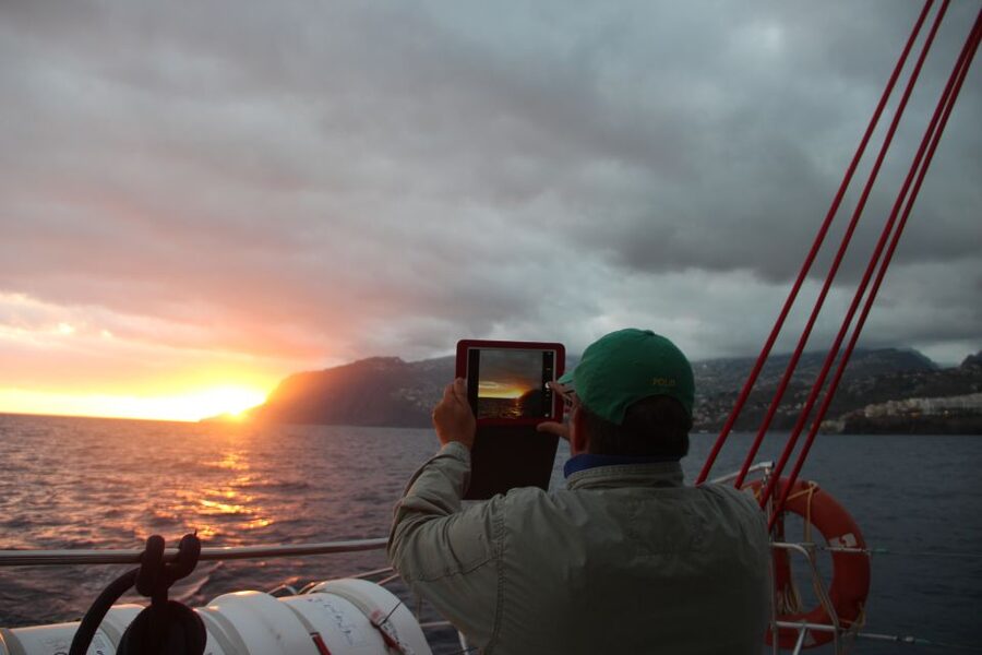 Madeira: Funchal Sunset Tour by Catamaran - Dolphin and whale watching from the catamaran