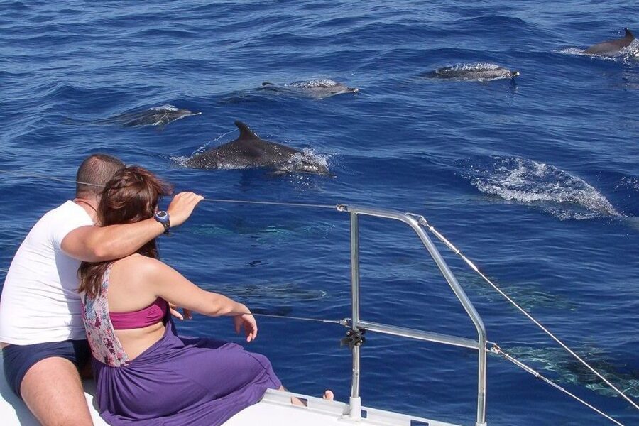 Madeira: Funchal Sunset Tour by Catamaran - Meeting at Praça do Povo and Funchal Marina
