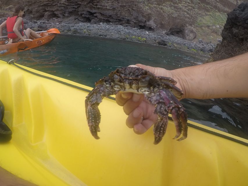 Madeira: Garajau Nature Reserve Kayak and Snorkel Tour - Who should book this Madeira tour?