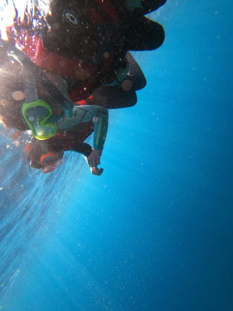 Madeira: Half-Day Coasteering Tour - Learning the route and safety basics
