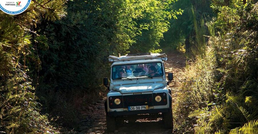 Madeira: Half-Day Nun's Valley and Sea Cliff Tour - Key points to know before you book