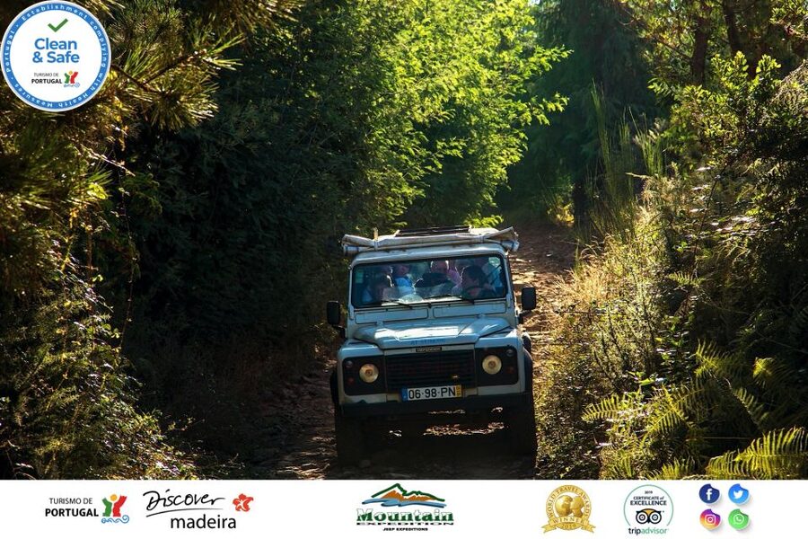 Madeira: Half-Day Nun's Valley and Sea Cliff Tour - The guides can shape the whole experience