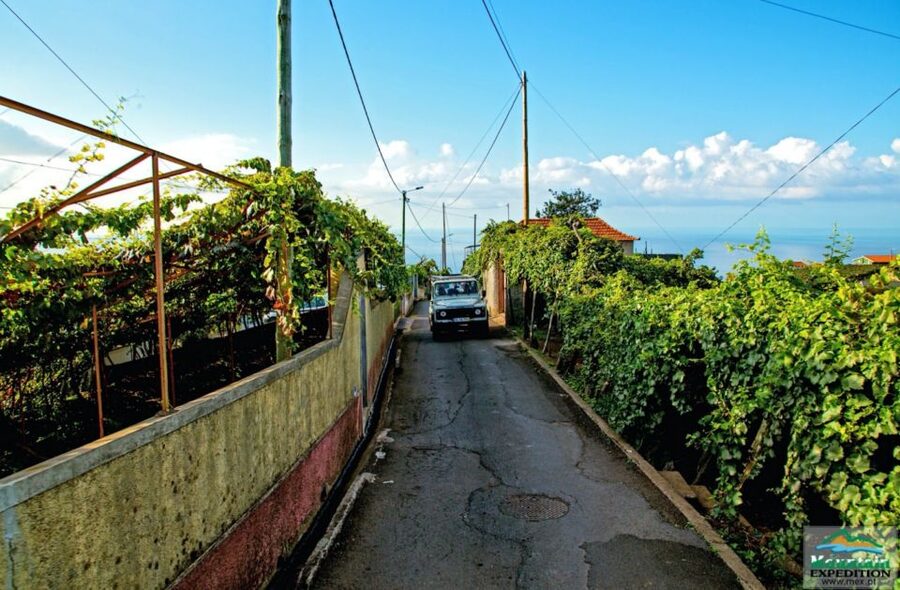 Madeira: Half-Day Nun's Valley and Sea Cliff Tour - The secret stop and Boca dos Namorados